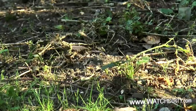 મિયા બિચને ક્રિયામાં જોવા માટે તૈયાર થાઓ Watchdirty.Com!